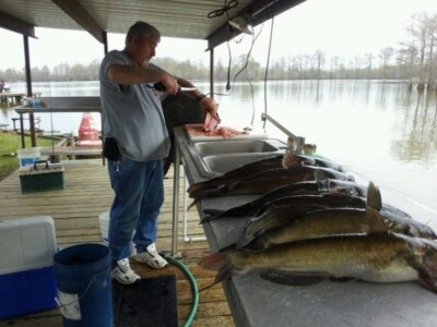 Gutting fish in outside kitchen