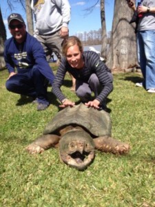 Large turtle at Lakeview Lodge